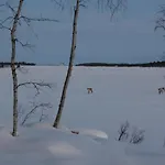 Vaibmu * Enare