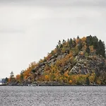 Vaibmu *