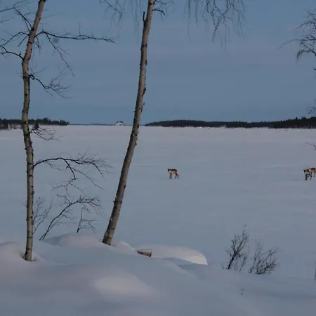 Vaibmu * Inari
